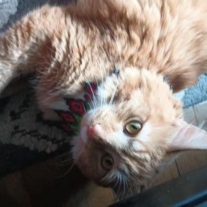 Meet your Posher, Christina